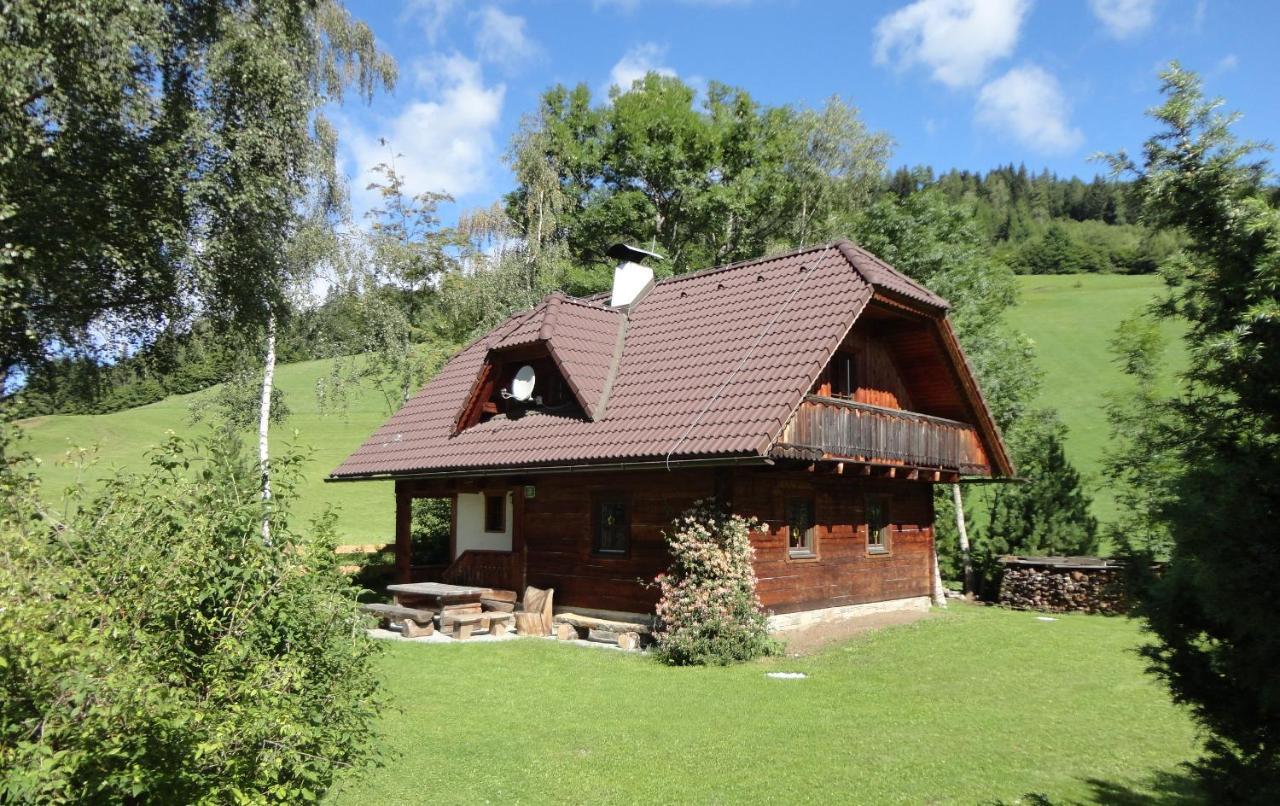 Die Petzl Huette - Kreischbergblick Kaindorf  Extérieur photo