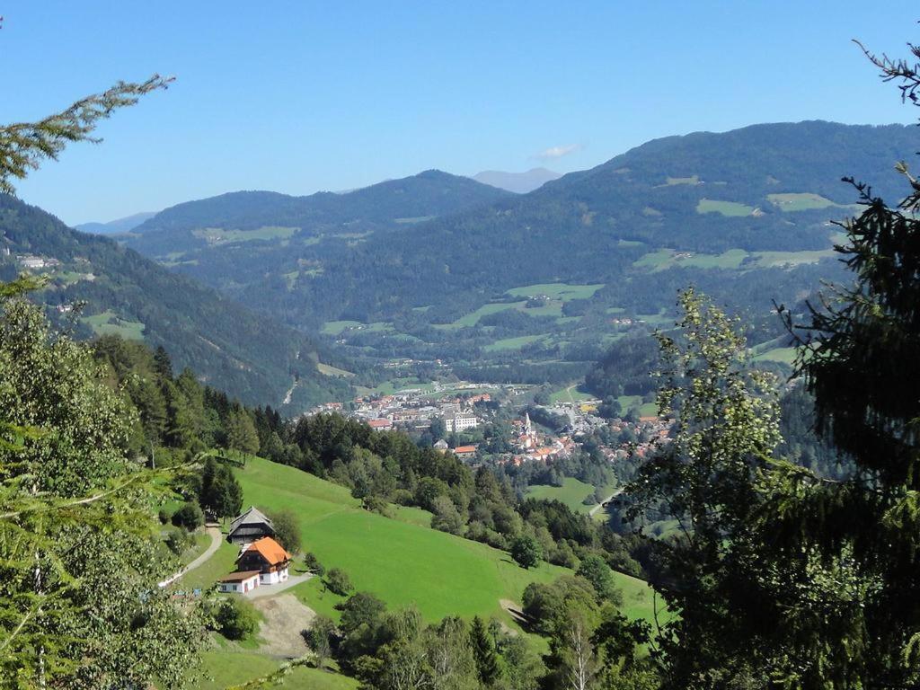 Die Petzl Huette - Kreischbergblick Kaindorf  Extérieur photo